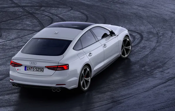 Audi, back, Audi A5, 2019, S5 Sportback