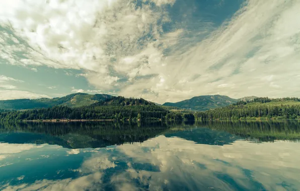 Picture lake, USA, Washington, Cabin Creek, The Pacific Northwest