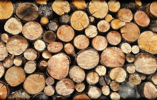 Picture background, texture, wood