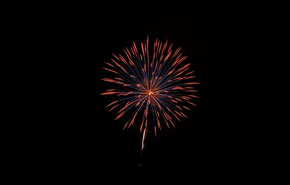 Light, night, firework