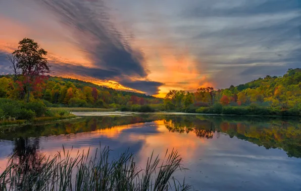 Picture autumn, forest, lake, sunrise, dawn, morning, PA, Pennsylvania