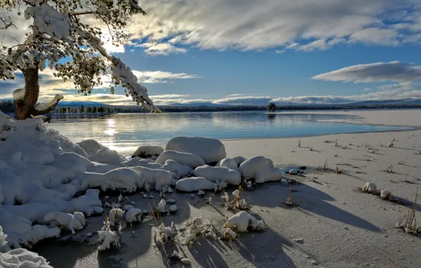 Picture winter, Norway, Hedmark County, Tjernli