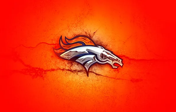 Picture Orange, Wallpaper, 2014, Denver Broncos, the Denver Broncos