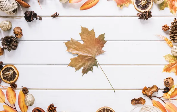 Picture autumn, leaves, background, tree, Board, bumps, wood, background