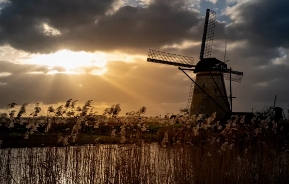 The sky, the sun, sunset, clouds, shore, the evening, reed, pond