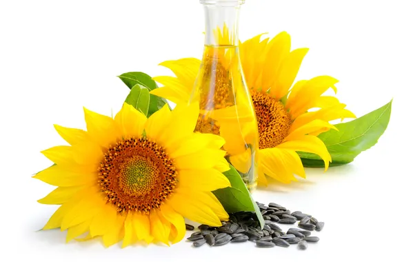 Sunflowers, oil, seeds, leaves, bottle