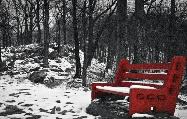 Picture snow, Park, bench