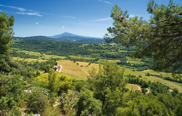 Picture field, forest, the sky, the sun, trees, mountains, France, panorama