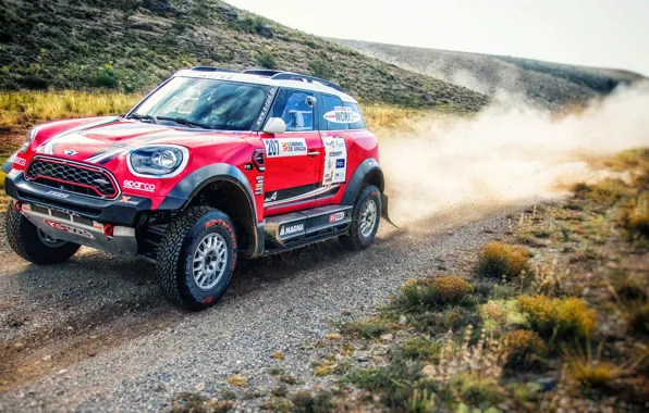 Mini, Dust, Sport, Speed, Race, Rally, SUV, Rally
