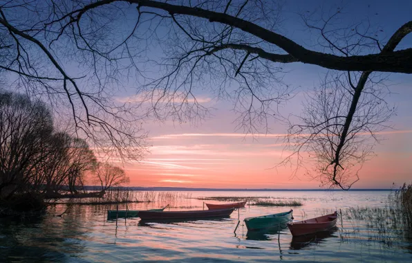 Picture landscape, sunset, nature, boats, Gregory Beltsy, Plescheevo lake