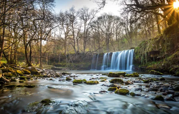 Forest, waterfall, river, Wales, The Brecon Beacons