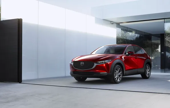 Picture photo, Red, Mazda, Car, Crossover, Worldwide, 2019, CX-30