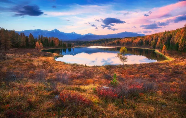Picture autumn, the sky, lake, paint, Russia, forest