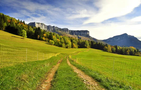 Picture road, greens, trees, mountains, hills, the fence, slope