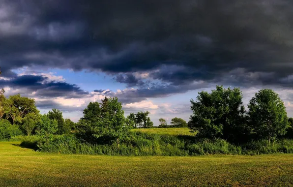 Trees, nature, Wallpaper, landscapes, 3200x1200