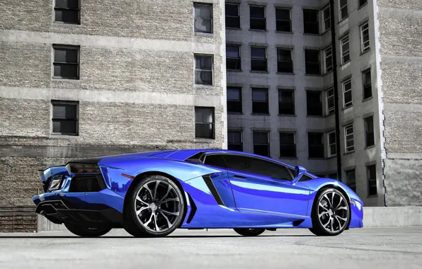 Picture blue, the building, lamborghini, blue, aventador, lp700-4, Lamborghini, aventador