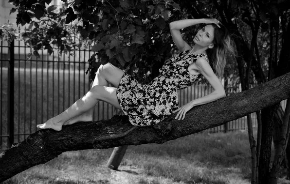 Pose, tree, black and white, Marina, Zurab Babayev