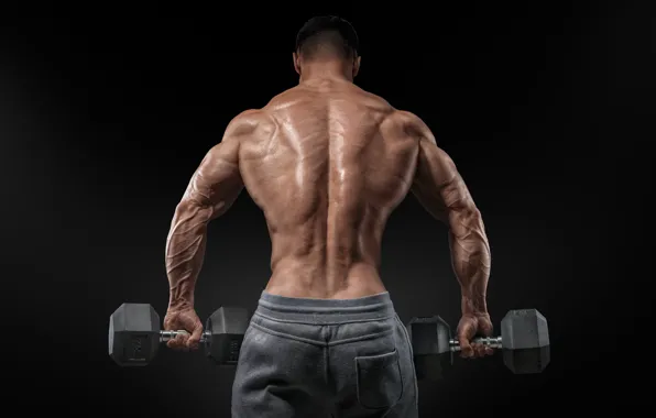 Picture men, muscular, bare back