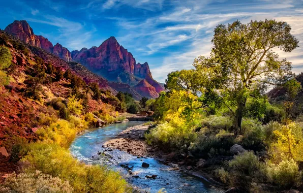 Trees, landscape, mountains, nature, river, canyon, Utah, USA