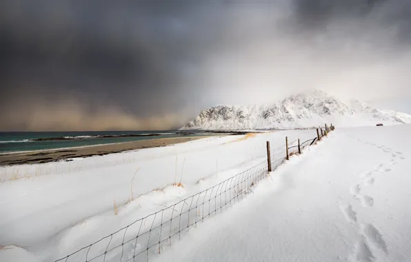 Picture winter, sea, snow, shore, the fence