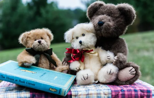 Toys, book, Teddy bears