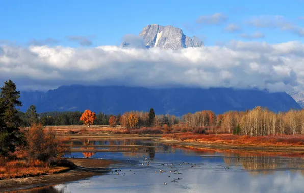 Autumn, forest, the sky, clouds, mountains, lake