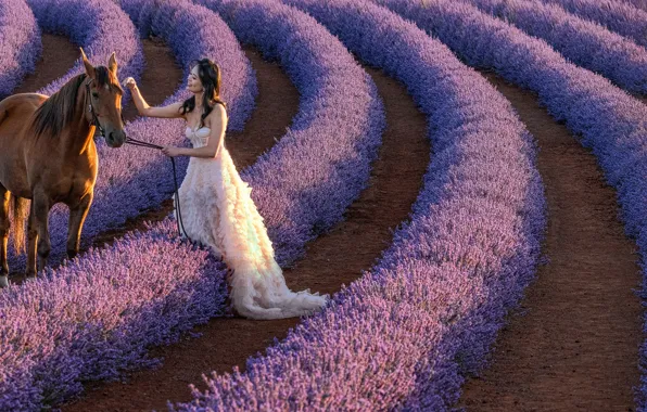 Field, girl, horse, horse, dress, Australia, Asian, lavender