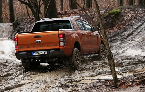 Picture forest, trees, Ford, dirt, pickup, Ranger, feed, Wildtrak