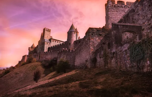 Wall, France, hill, tower, fortress, Carcassonne