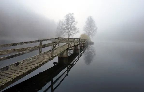 Bridge, fog, lake, the darkness