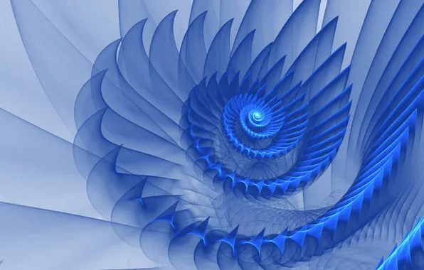 Blue, Flower, Pattern, Curl