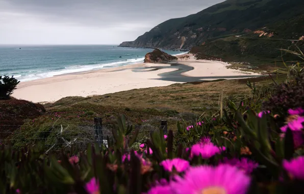 Sand, sea, beach, flowers, mountains, rocks, shore, coast
