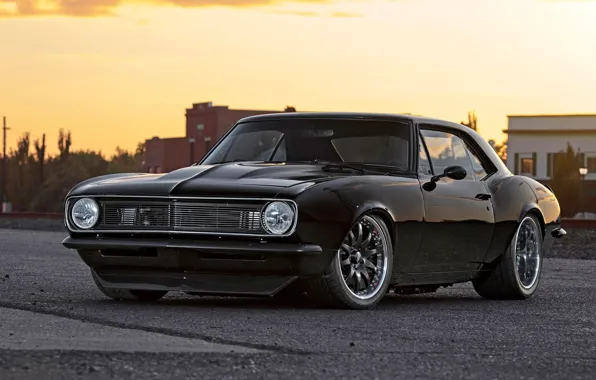 Picture car, Chevrolet, black, camaro, muscle, 1967