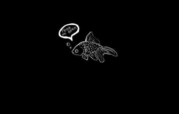 The inscription, goldfish, black, goldfish