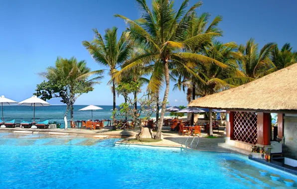 Sea, summer, palm trees, island, pool, Bali, Indonesia, umbrellas