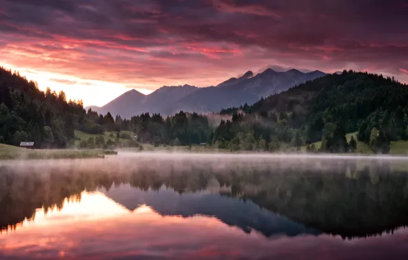 Forest, mountains, nature, lake, dawn, morning, Landscape