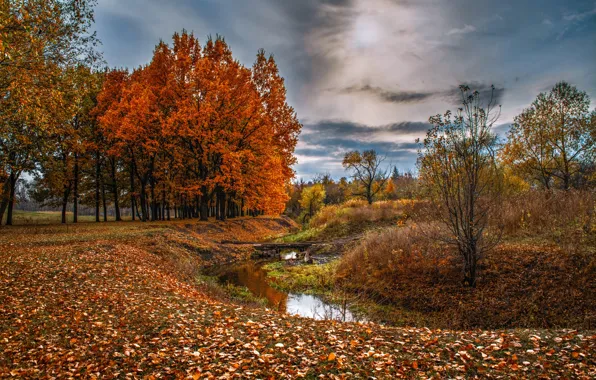 Autumn, landscape, nature, Park, stream