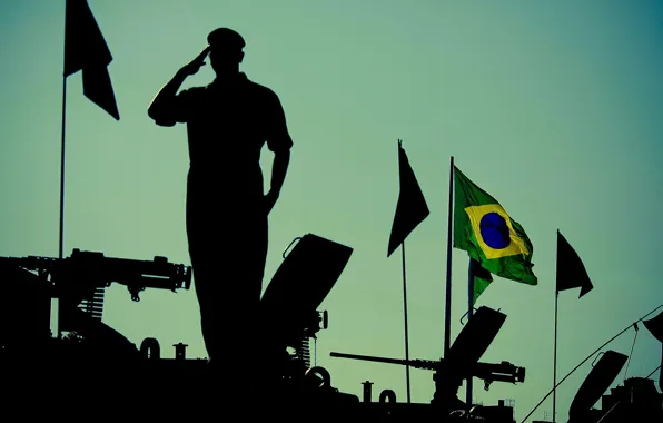 Green, gun, soldier, sky, weapon, man, army, flag