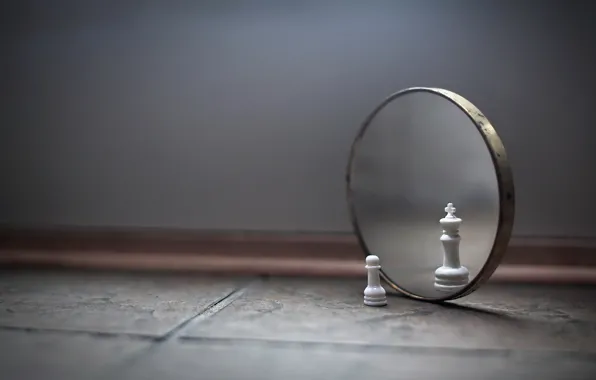 Picture chess, king, mirror, pawn