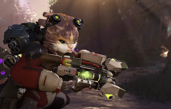 Cat, weapons, being, Crucible