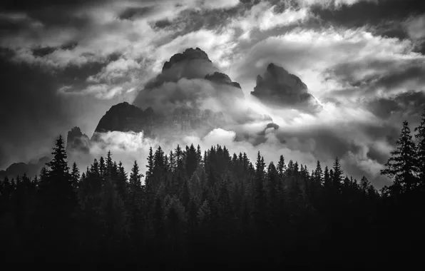 The sky, clouds, trees, mountains, nature, rocks, black and white, monochrome