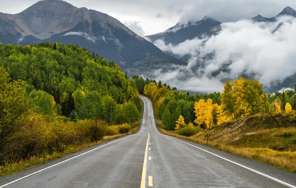 Picture road, trees, landscape, nature, mountains, clouds, asphalt, plants