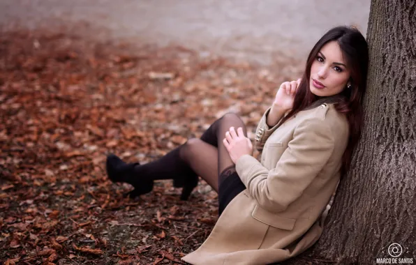 Picture autumn, look, leaves, pose, Park, model, portrait, makeup