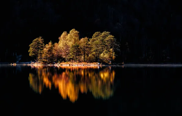 Autumn, trees, island, Germany, Bayern, lake Eibsee