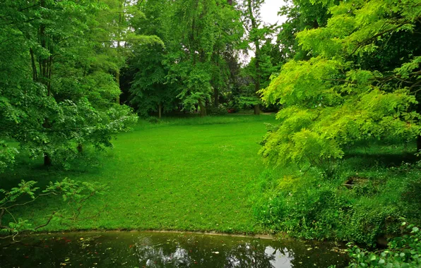 Greens, grass, trees, pond, Park, France, lawn, Albert-Kahn Japanese gardens