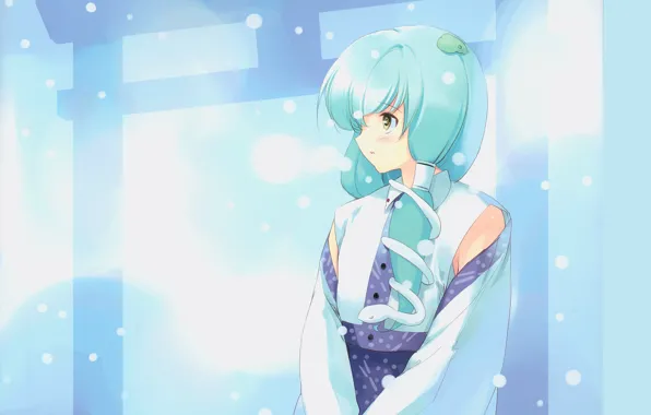 Snow, blue hair, Kochi Have Done The Art, white snake, Touhou Project, Project East, torii …