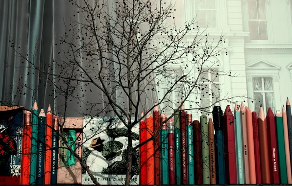 Picture tree, pencils, window