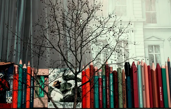 Picture trees, pencils, window