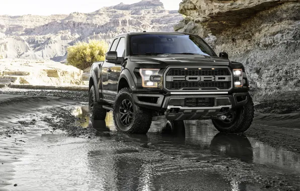 Picture Ford, Ford, Raptor, pickup, Raptor, F-150