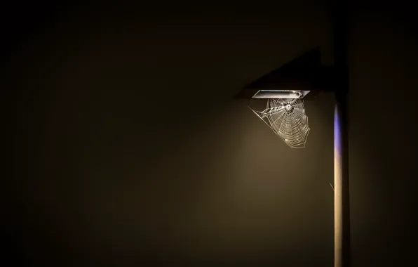 Web, post, lamp